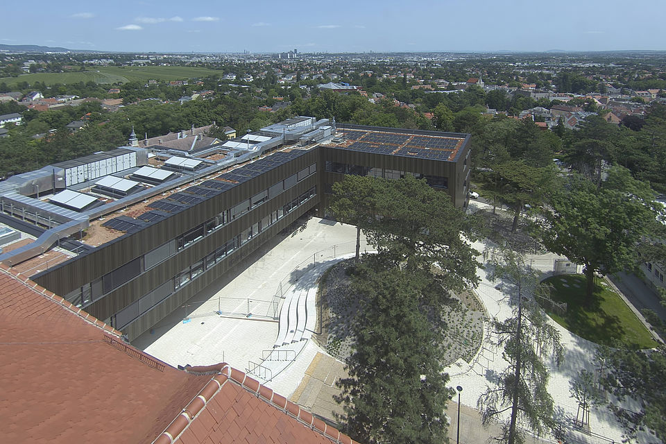 Baukamera 1 - Webcam 'Gesamtpanorama Blick nach Osten' - Baustelle Zubau BG/BRG Perchtoldsdorf (Archivbild)