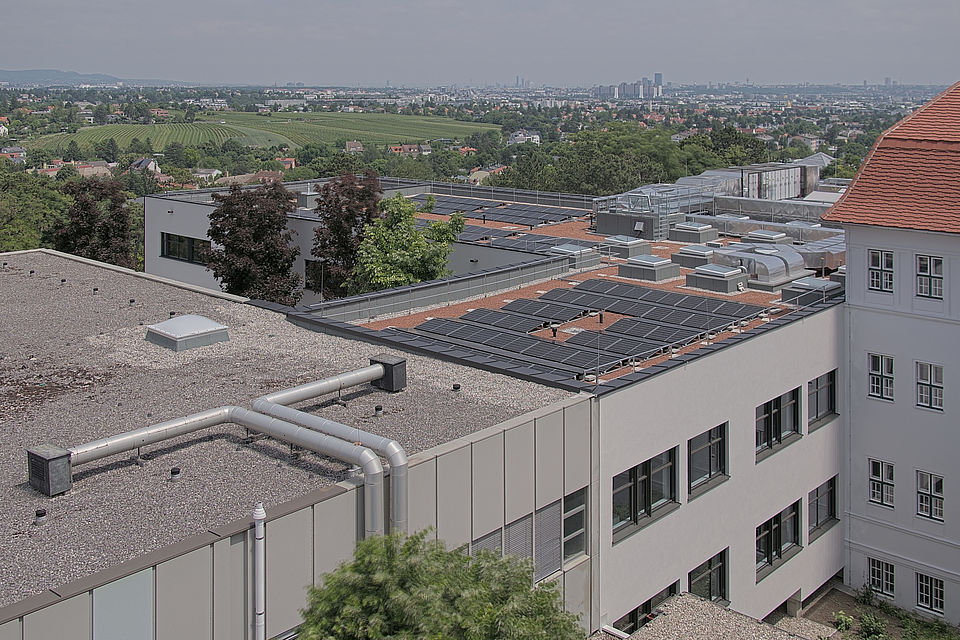Baukamera 2 - Webcam 'Gesamtpanorama Blick nach Nordosten' - Baustelle Zubau BG/BRG Perchtoldsdorf (Archivbild)