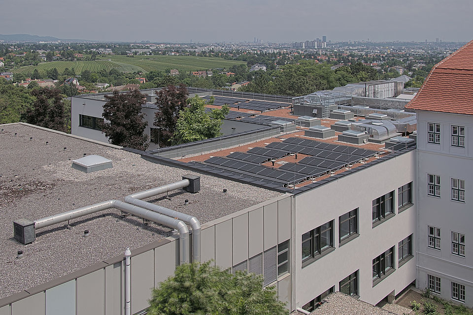 Baukamera 2 - Webcam 'Gesamtpanorama Blick nach Nordosten' - Baustelle Zubau BG/BRG Perchtoldsdorf (Archivbild)